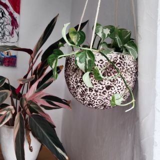 Pamatujete si na mé kafíčko? ☕ Tak tady je výsledek 😉